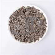 Sementes de Girassol Salgadas