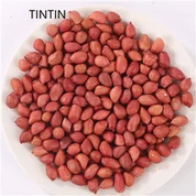 Venda quente de grãos de amendoim chineses com pele vermelha