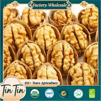 Walnuts Kernels Premium Quality In China