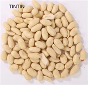 Atacado 100% Natural e Saudável Chinês Branqueado Amendoim Kernels